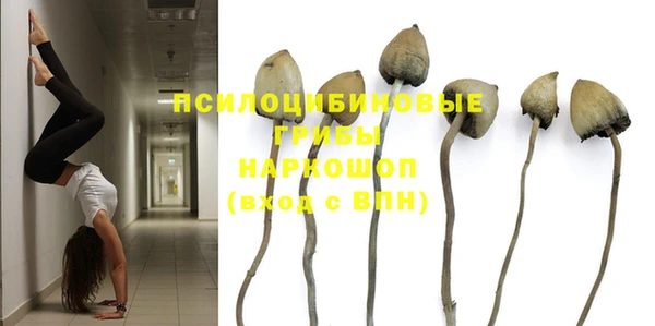мдпв Балахна
